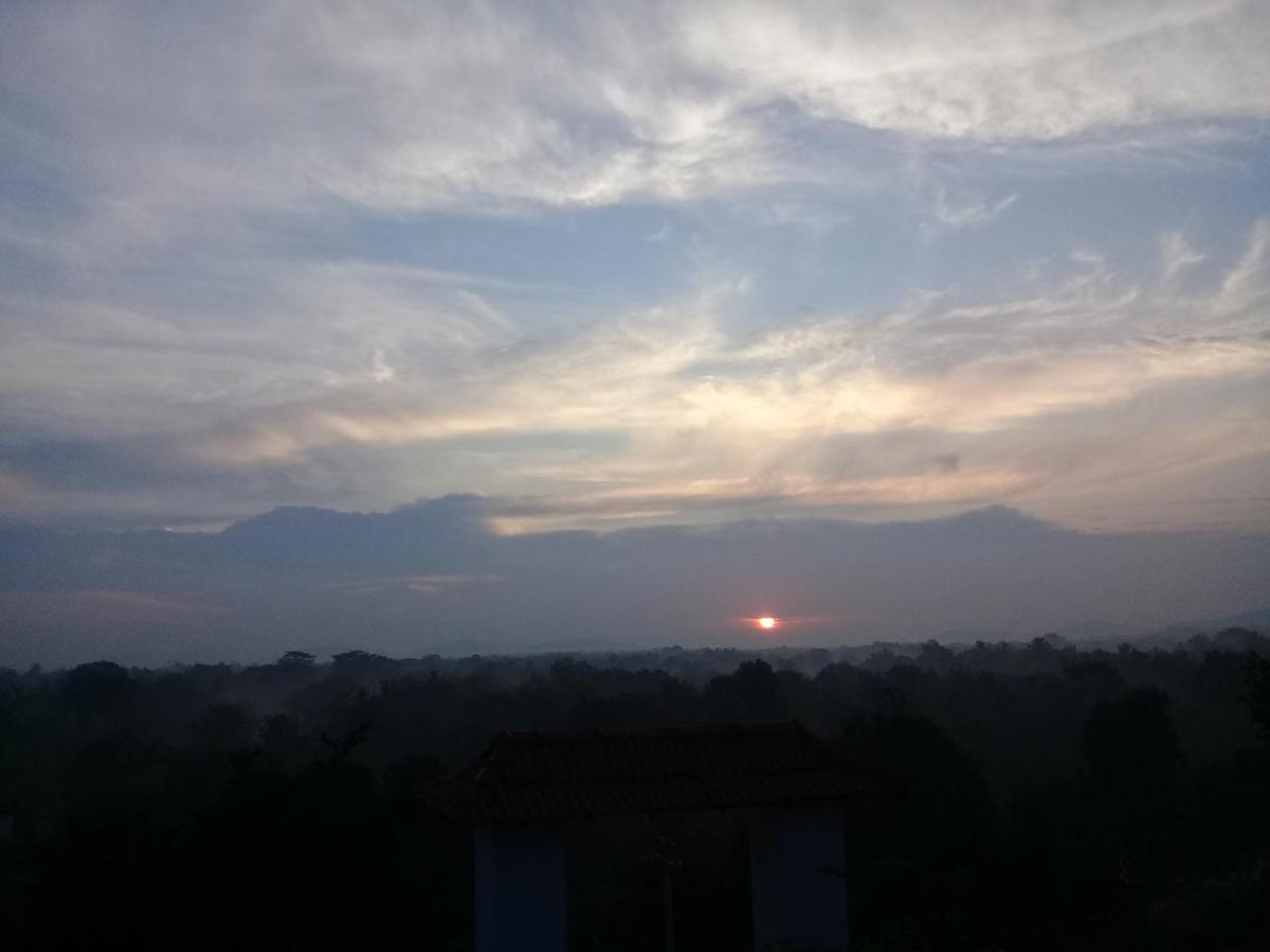 Amba Sewana Homestay Sigiriya Exterior foto