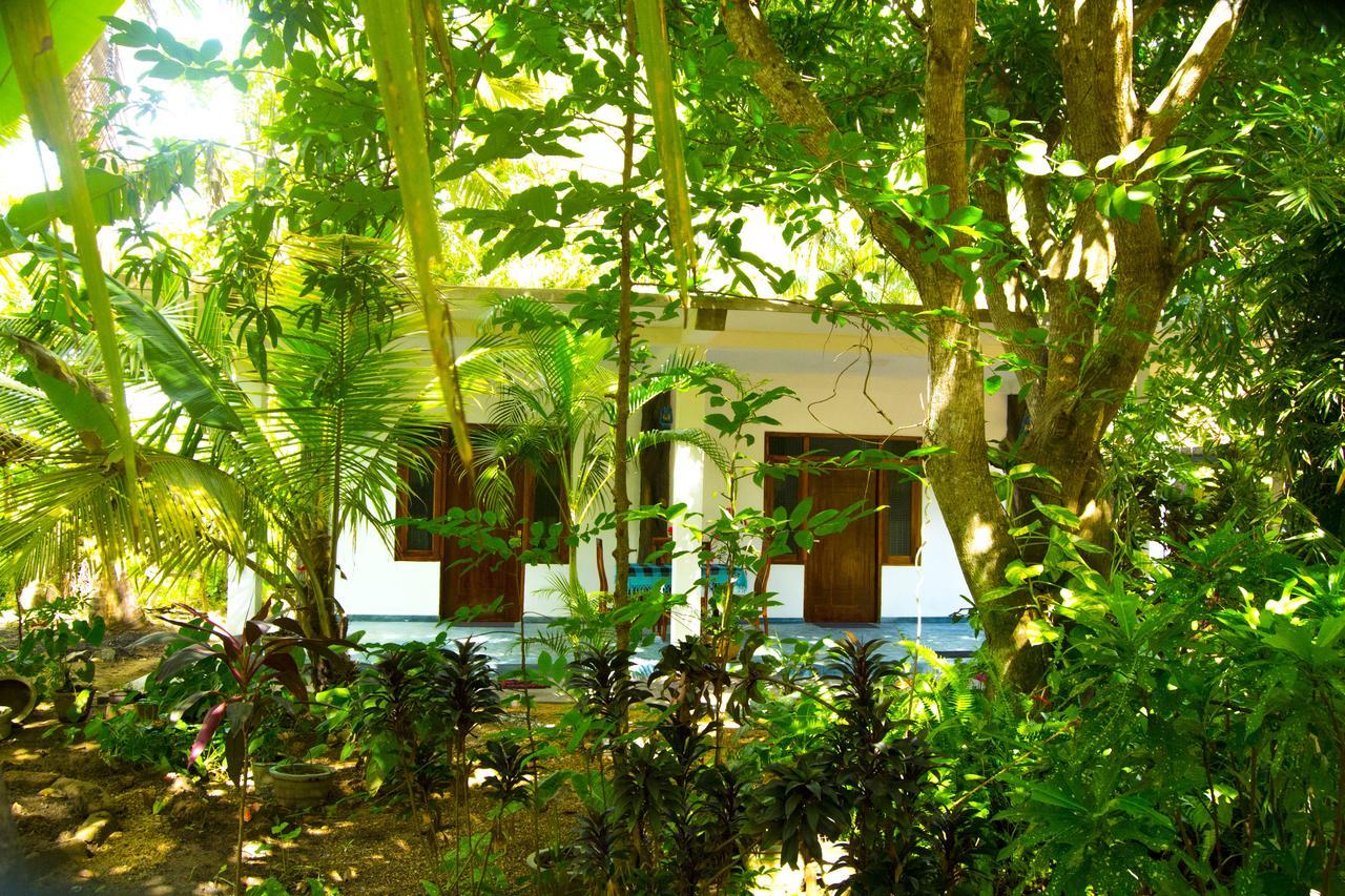 Amba Sewana Homestay Sigiriya Exterior foto
